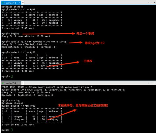 MySQL数据库事务与存储引擎 数据处理与存储的基石